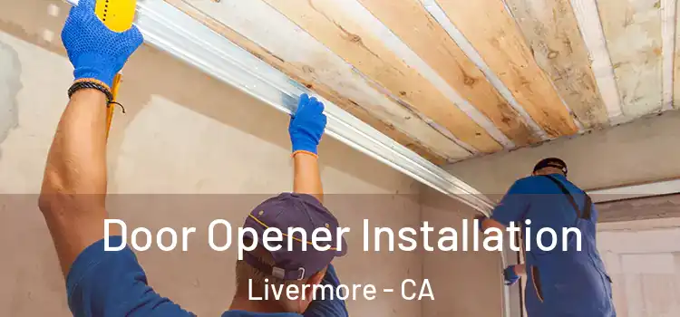  Door Opener Installation Livermore - CA
