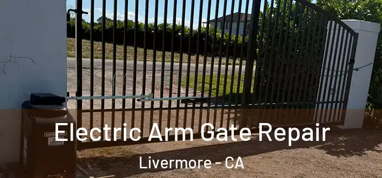 Electric Arm Gate Repair Livermore - CA