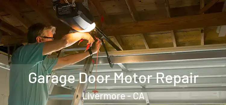  Garage Door Motor Repair Livermore - CA