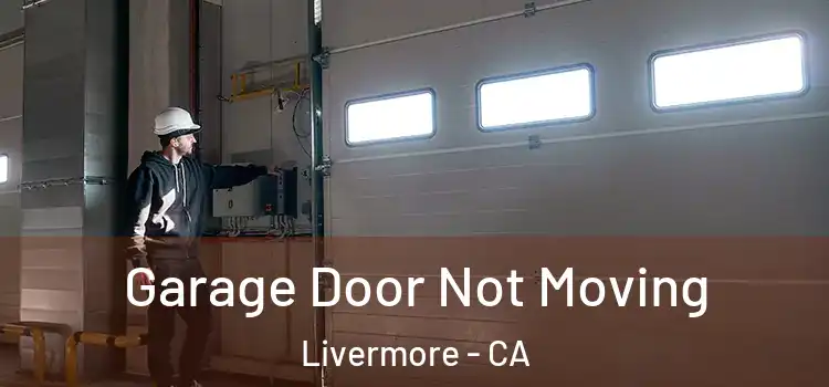  Garage Door Not Moving Livermore - CA