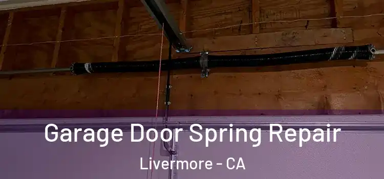  Garage Door Spring Repair Livermore - CA