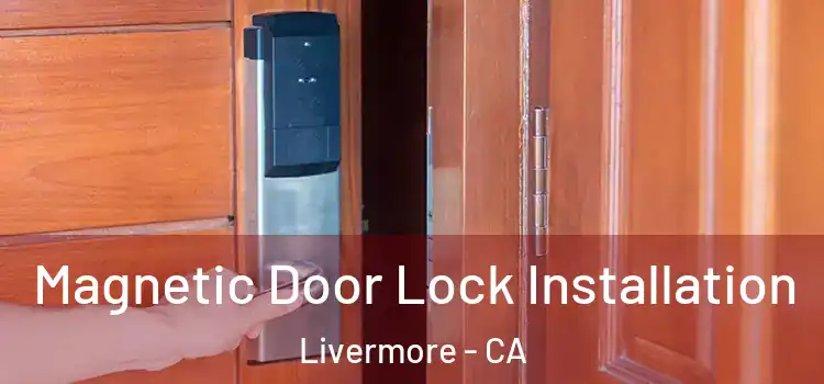  Magnetic Door Lock Installation Livermore - CA