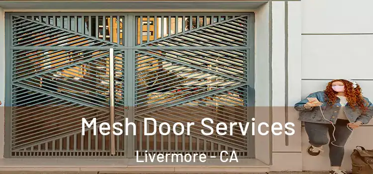 Mesh Door Services Livermore - CA