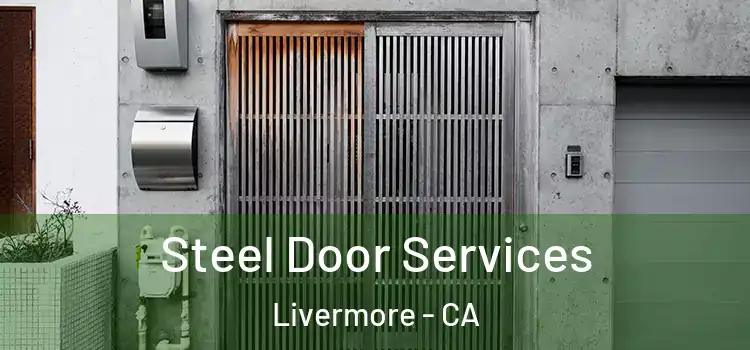  Steel Door Services Livermore - CA
